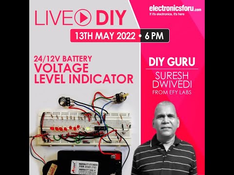 24V and 12V voltage level indicator demonstration